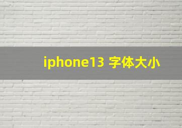 iphone13 字体大小